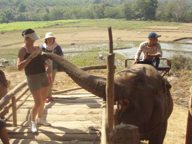 daily picdump 94 pics 39.html - 94 HD Photos | Premium Gallery 2018