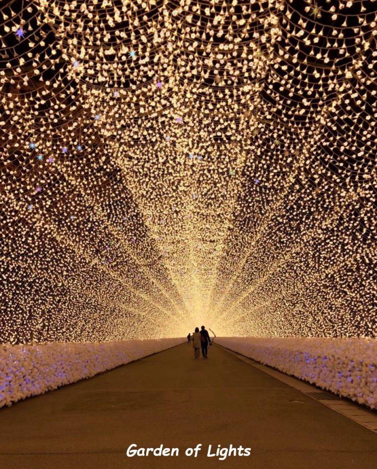 daily picdump 94 pics 39.html - 94 HD Photos | Premium Gallery 2018