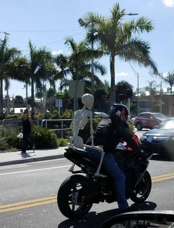 daily picdump 94 pics 39.html - 94 HD Photos | Premium Gallery 2018