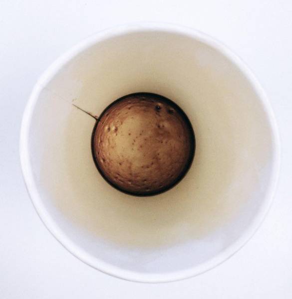 If These Are Not Cool, Then What Is?