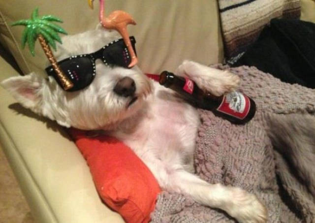 morning picdump 50 pics 49.html - 50 HD Photos | Premium Gallery 2018