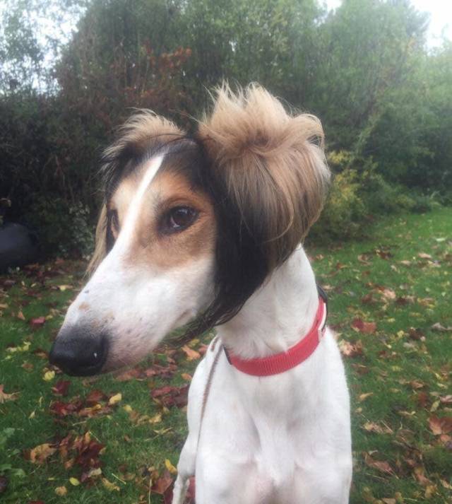 morning picdump 50 pics 49.html - 50 HD Photos | Premium Gallery 2018