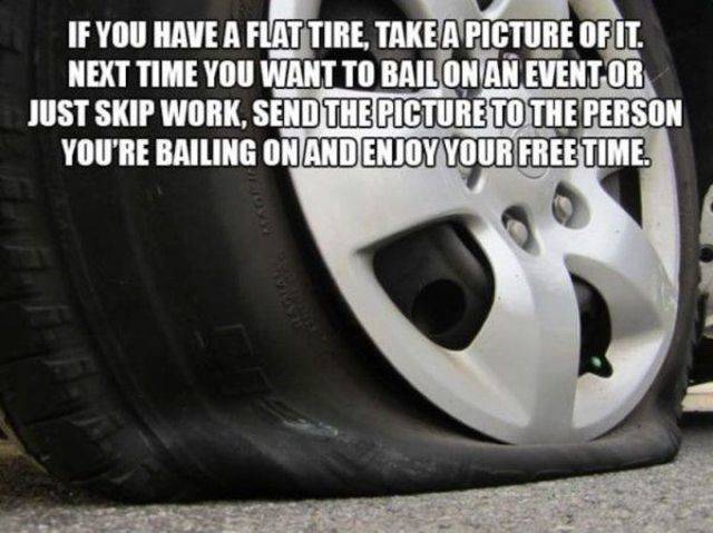 Why Is It Allowed To Be So Clever?