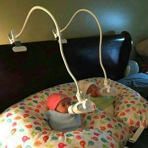 Why Is It Allowed To Be So Clever?