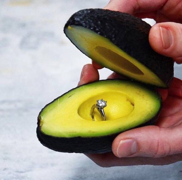 Why Is It Allowed To Be So Clever?