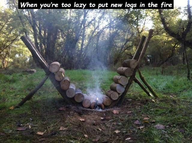 Why Is It Allowed To Be So Clever?