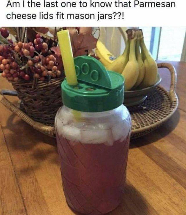 Why Is It Allowed To Be So Clever?