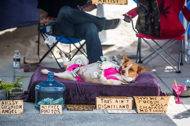 daily picdump 95 pics 23.html - 95 HD Photos | Premium Gallery 2018