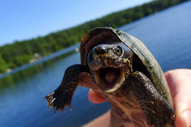 daily picdump 95 pics 23.html - 95 HD Photos | Premium Gallery 2018