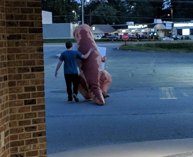 daily picdump 95 pics 23.html - 95 HD Photos | Premium Gallery 2018