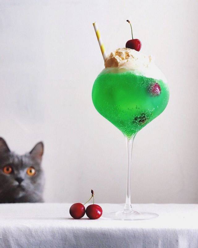 daily picdump 95 pics 23.html - 95 HD Photos | Premium Gallery 2018