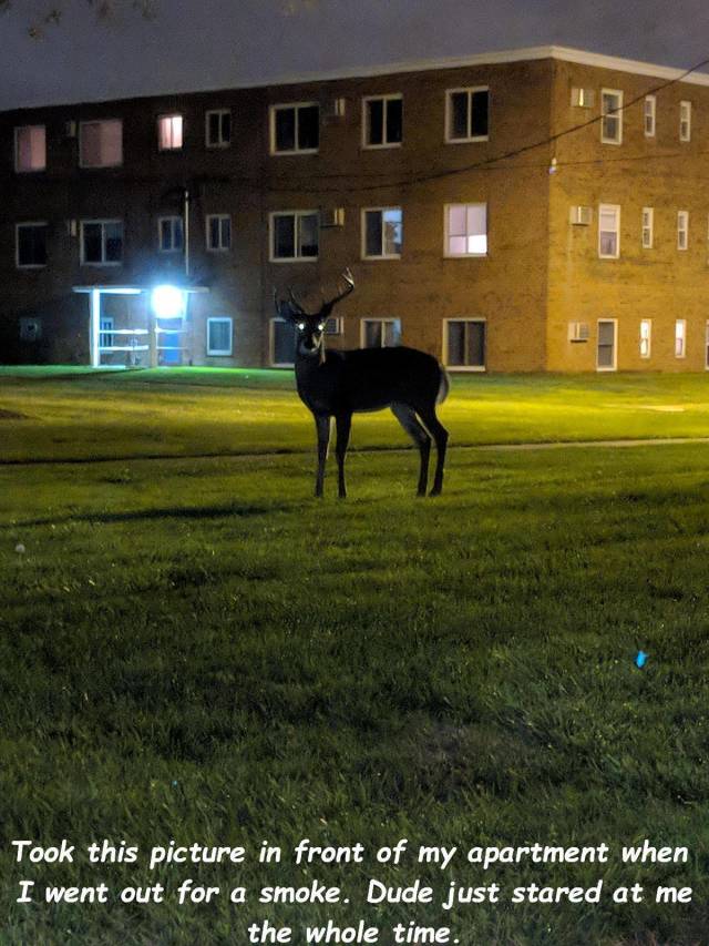 daily picdump 95 pics 23.html - 95 HD Photos | Premium Gallery 2018