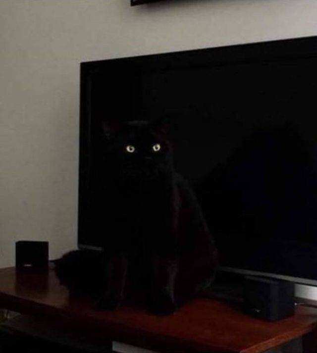 daily picdump 95 pics 23.html - 95 HD Photos | Premium Gallery 2018