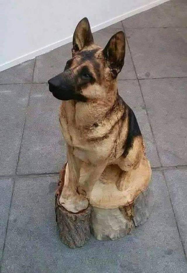 daily picdump 95 pics 23.html - 95 HD Photos | Premium Gallery 2018