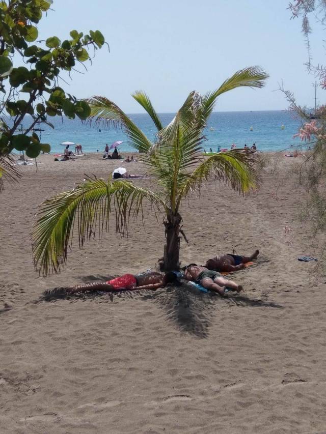 daily picdump 95 pics 23.html - 95 HD Photos | Premium Gallery 2018