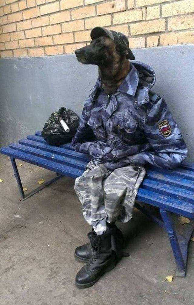 daily picdump 95 pics 23.html - 95 HD Photos | Premium Gallery 2018