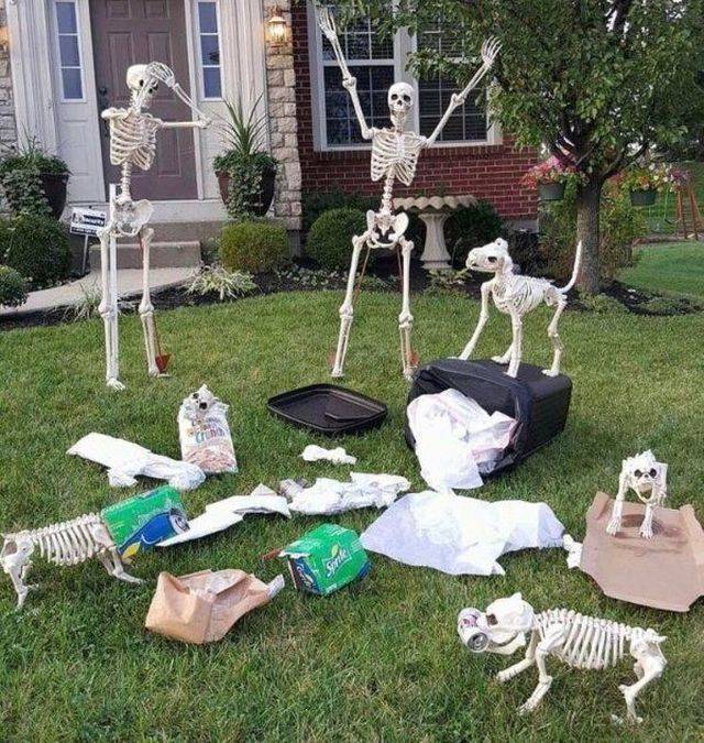 daily picdump 95 pics 23.html - 95 HD Photos | Premium Gallery 2018