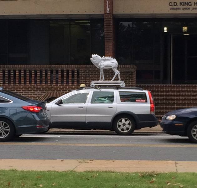 morning picdump 50 pics 7.html - 50 HD Photos | Premium Gallery 2018