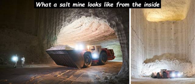 daily picdump 95 pics 15.html - 95 HD Photos | Premium Gallery 2018