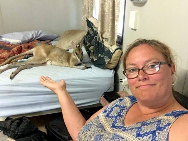 daily picdump 95 pics 15.html - 95 HD Photos | Premium Gallery 2018