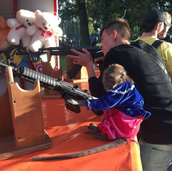 daily picdump 95 pics 15.html - 95 HD Photos | Premium Gallery 2018