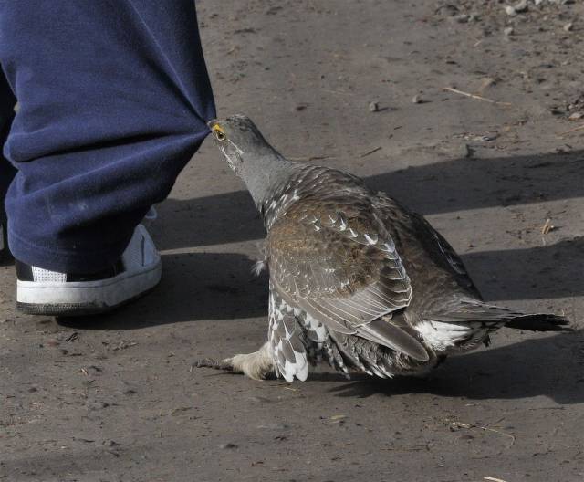 daily picdump 95 pics 15.html - 95 HD Photos | Premium Gallery 2018