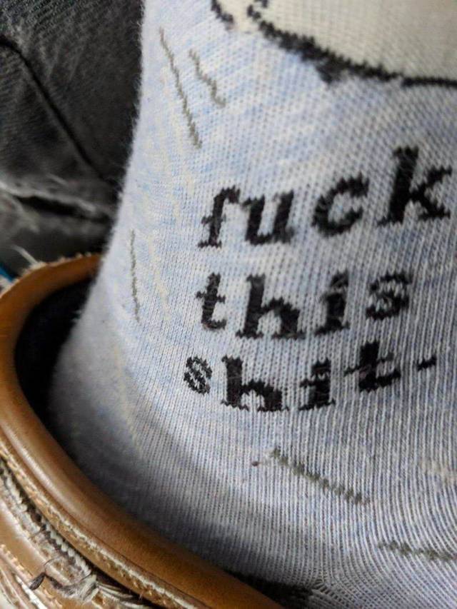 daily picdump 95 pics 15.html - 95 HD Photos | Premium Gallery 2018