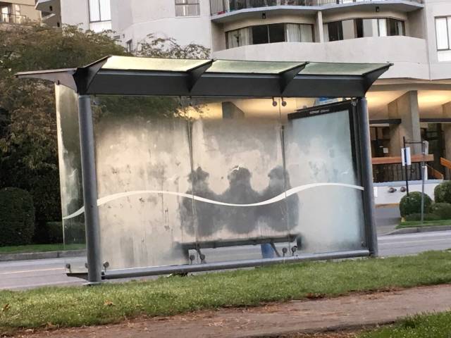 morning picdump 51 pics 2.html - 51 HD Photos | Premium Gallery 2018