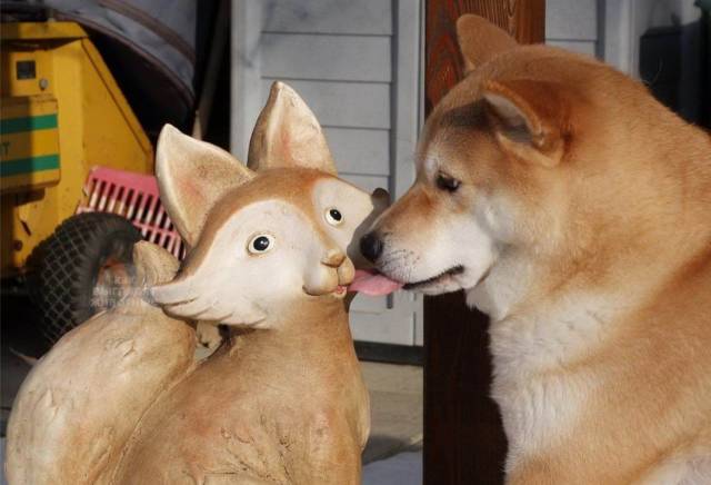 daily picdump 98 pics 42.html - 98 HD Photos | Premium Gallery 2018