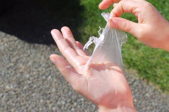 daily picdump 98 pics 42.html - 98 HD Photos | Premium Gallery 2018