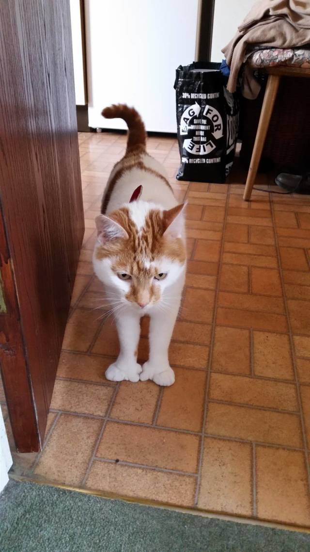 daily picdump 98 pics 42.html - 98 HD Photos | Premium Gallery 2018