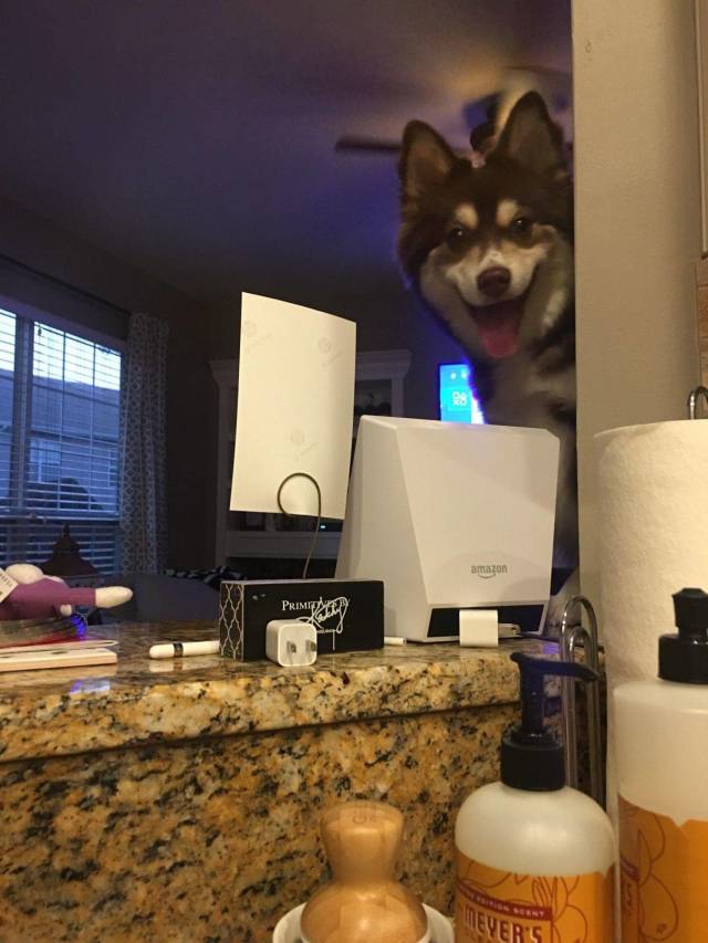 daily picdump 98 pics 42.html - 98 HD Photos | Premium Gallery 2018