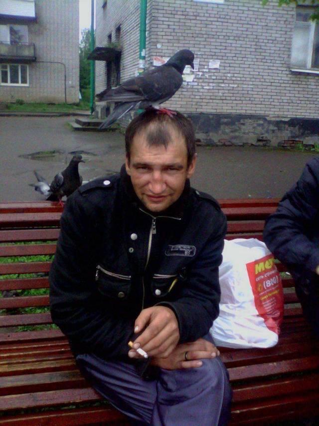 daily picdump 98 pics 42.html - 98 HD Photos | Premium Gallery 2018