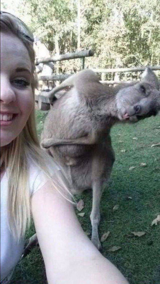 daily picdump 98 pics 42.html - 98 HD Photos | Premium Gallery 2018