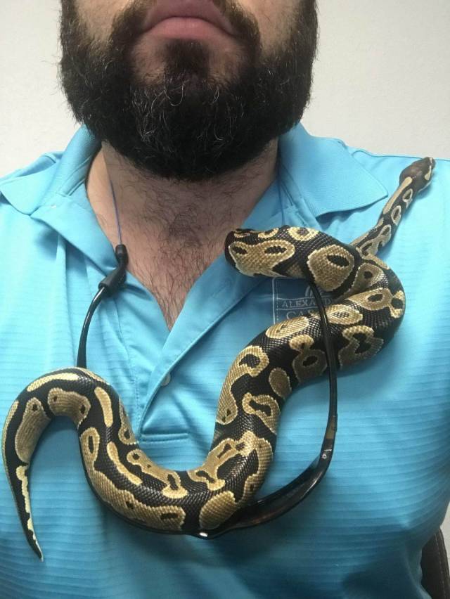 daily picdump 98 pics 42.html - 98 HD Photos | Premium Gallery 2018