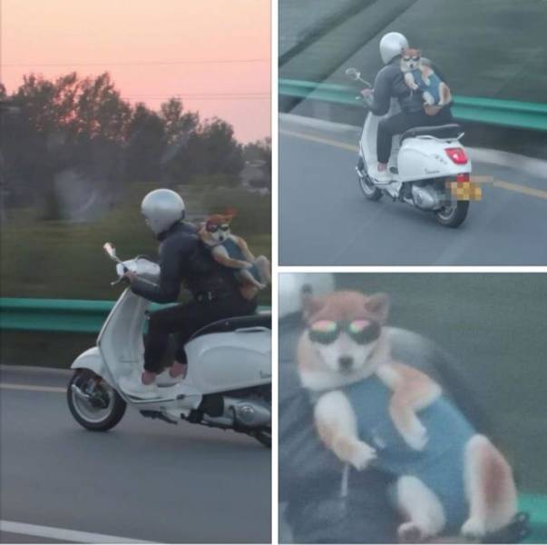 morning picdump 50 pics 17.html - 50 HD Photos | Premium Gallery 2018