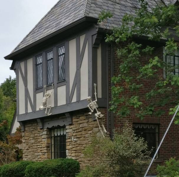 morning picdump 50 pics 17.html - 50 HD Photos | Premium Gallery 2018