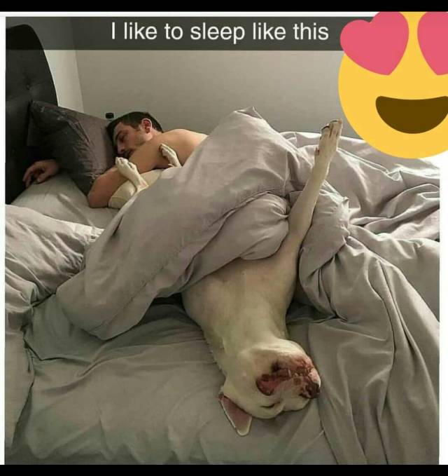 morning picdump 50 pics 17.html - 50 HD Photos | Premium Gallery 2018