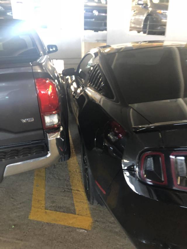 morning picdump 50 pics 17.html - 50 HD Photos | Premium Gallery 2018