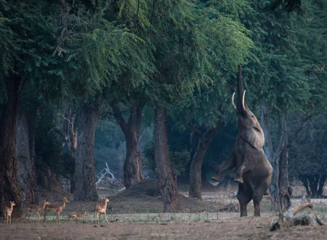 Daily Picdump [WEEKEND EDITION]