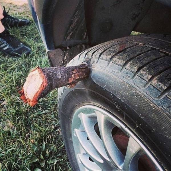 daily picdump weekend edition 65 pics 28.html - 65 HD Photos | Premium Gallery 2018