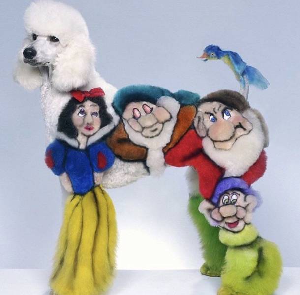 daily picdump weekend edition 65 pics 28.html - 65 HD Photos | Premium Gallery 2018