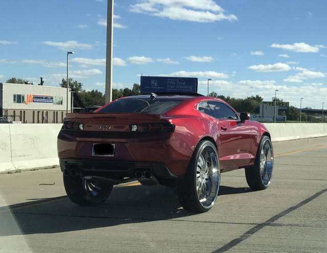 daily picdump weekend edition 65 pics 28.html - 65 HD Photos | Premium Gallery 2018