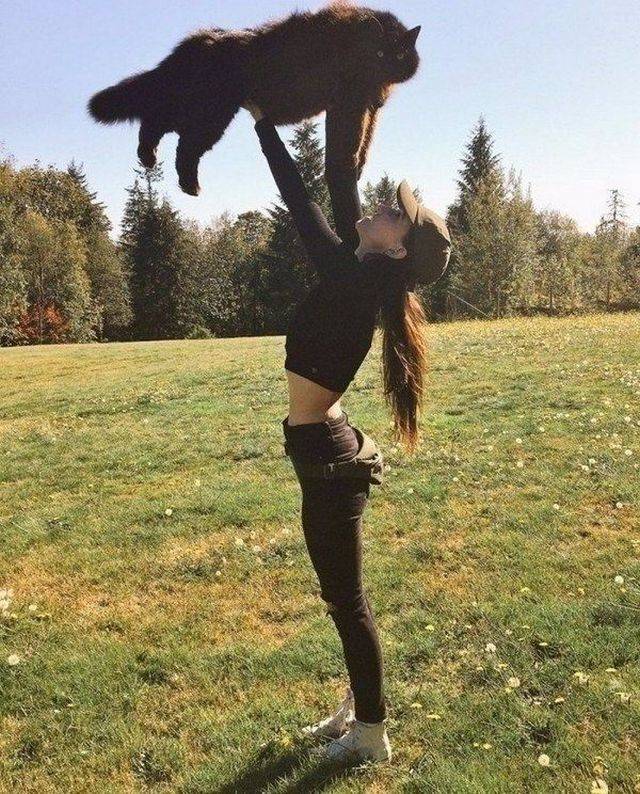 daily picdump weekend edition 65 pics 28.html - 65 HD Photos | Premium Gallery 2018