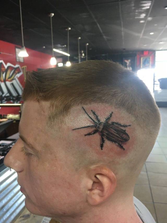 daily picdump weekend edition 65 pics 28.html - 65 HD Photos | Premium Gallery 2018