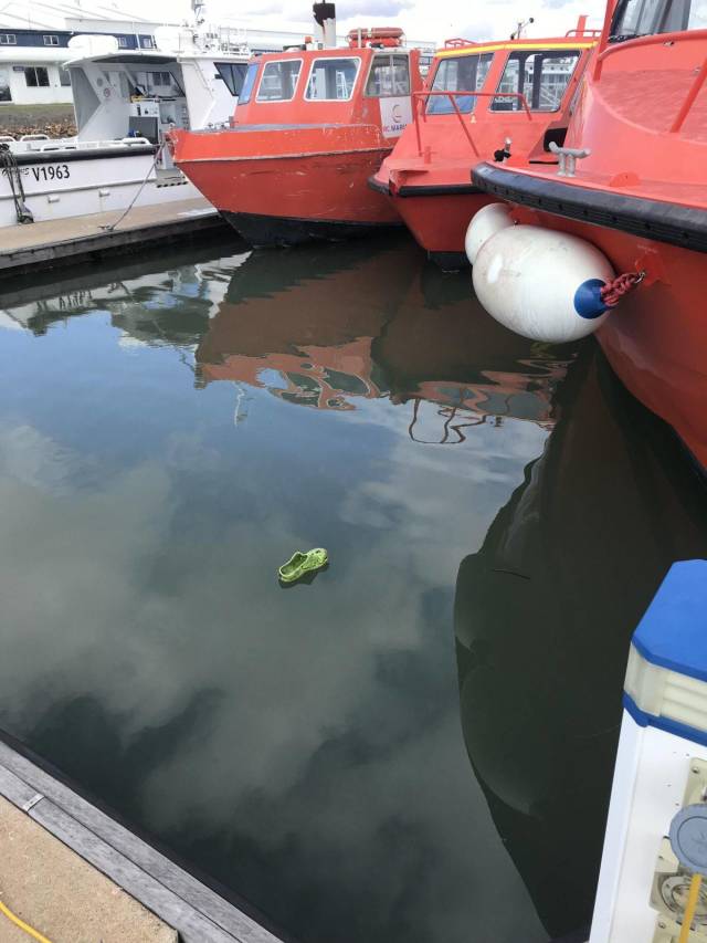 daily picdump weekend edition 65 pics 28.html - 65 HD Photos | Premium Gallery 2018