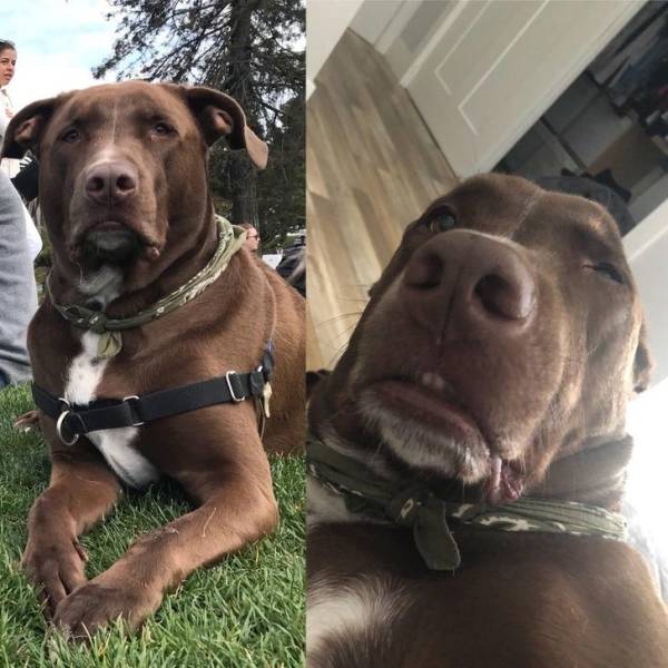 Every Pretty Girl Has An Ugly Selfie