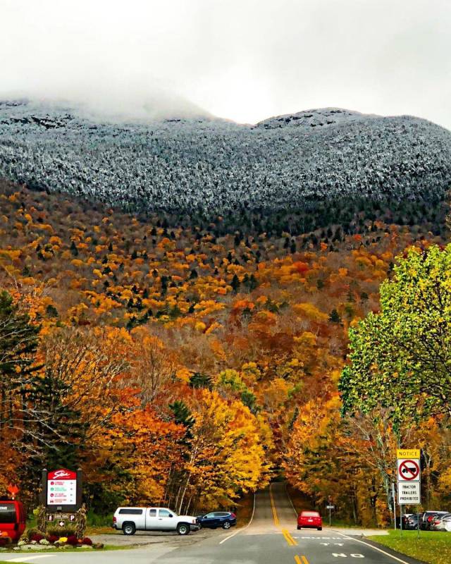 daily picdump 94 pics 28.html - 94 HD Photos | Premium Gallery 2018