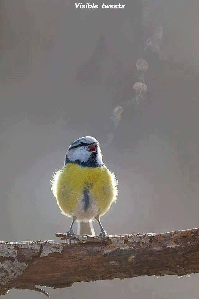 daily picdump 94 pics 28.html - 94 HD Photos | Premium Gallery 2018