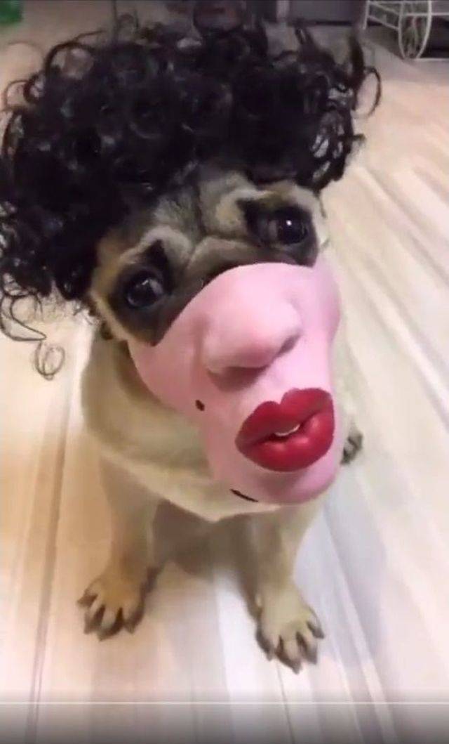 daily picdump 94 pics 28.html - 94 HD Photos | Premium Gallery 2018